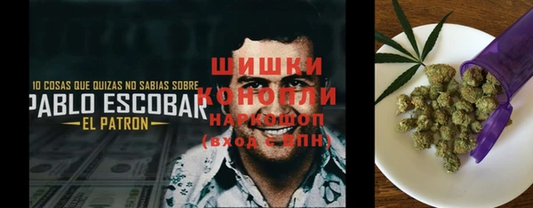 стаф Рославль